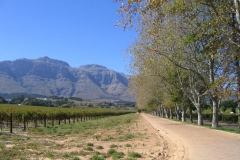 86D62BFC-C99C-40E4-AA33-AE671C6B3F11_1_105_c