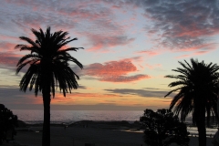 BBD333F8-55DB-4240-821C-C8F485718230_1_105_c