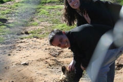 98F5ABBE-9976-4EEE-A028-D06C04342E82_1_105_c